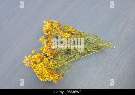 Johanniskraut. Hypericum auf dem Tisch. Stockfoto