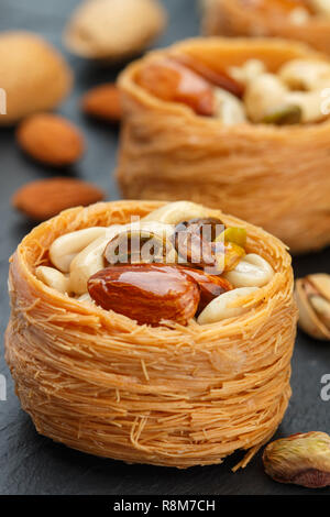 Die traditionellen orientalischen Süßigkeiten "Bird's Nest" in Honig, Sirup mit Mutter befüllen - Mandeln, Cashews, Pistazien. Baklava close-up. Köstliches Dessert Stockfoto
