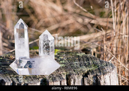 3 kleine klare Quarze Festlegung auf einen Baum mit Gras im Hintergrund Stockfoto