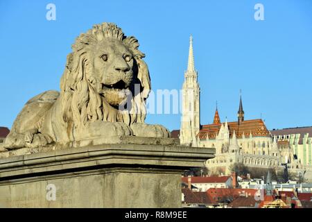 Ungarn, Budapest, ein UNESCO Weltkulturerbe, die Donau, die Kettenbrücke (Szechenyi Lanchid), gebaut im Jahre 1848 von dem britischen Ingenieur William Thierney Clark, als umgebaut gleich nach seiner Zerstörung im Jahre 1949, die Matthiaskirche und die Fischerbastei auf Buda Hil oder die Burg Hügel Stockfoto