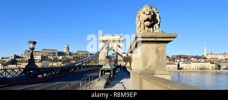 Ungarn, Budapest, ein UNESCO Weltkulturerbe, die Donau, die Kettenbrücke (Szechenyi Lanchid), gebaut im Jahre 1848 von dem britischen Ingenieur William Thierney Clark, als gleich nach seiner Zerstörung im Jahr 1949 und im Hintergrund die Burg oder die Budaer Hügel mit königlichen Palast Matthias Kirche und Fisherman's Bastion umgebaut Stockfoto