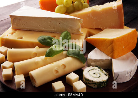 Käseplatte mit Trauben, verschiedenen Käse in einer Schüssel. Stockfoto