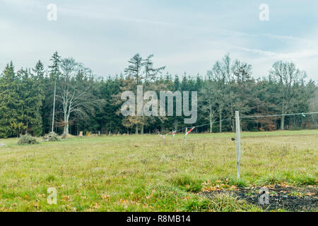 Bild von einer Wiese mit Holzstangen und Kabel mit rotem Klebeband und ein Wald im Hintergrund an einem Tag, und mit Winter Dunst in den Belgischen Ardennen Stockfoto