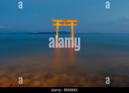 Beleuchtetes shirahige-jinja in Shiga! Für Meilen ging diesen Anblick zu sehen Stockfoto