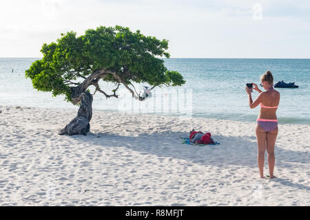 Aruba Beach - Aruba - Eagle Beach Divi-Divi Baum - ein Tourist macht ein Foto von der weltberühmten Divi Divi Bäume Stockfoto