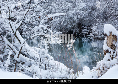 Zweige und Baum mit großen Schnee und Fluss im Hintergrund auf Winter Tag abgedeckt. Kalt und Winter Wetter Konzept in der Natur Stockfoto