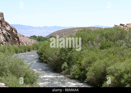 Ein Fluss fließt durch einen steinigen, kargen Wüstenlandschaft von blühenden Pflanzen im Westen der USA umgeben Stockfoto