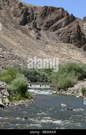 Ein Fluss fließt durch einen steinigen, kargen Wüstenlandschaft von blühenden Pflanzen im Westen der USA umgeben Stockfoto