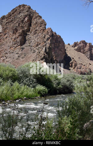 Ein Fluss fließt durch einen steinigen, kargen Wüstenlandschaft von blühenden Pflanzen im Westen der USA umgeben Stockfoto
