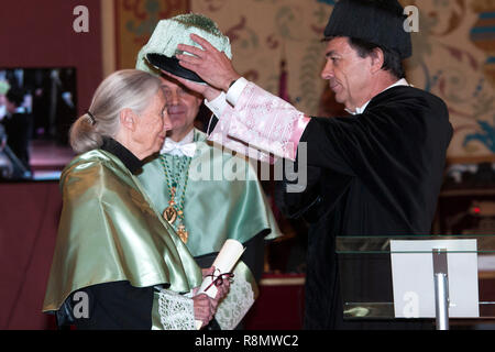 Madrid, Spanien. 15 Dez, 2018. Jane Goodall Ehrendoktorwürde der Universidad Complutense Universität. Madrid, 15.12.2018 | Verwendung der weltweiten Kredit: dpa/Alamy leben Nachrichten Stockfoto