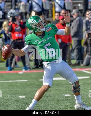 Albuquerque, New Mexico. 15 Dez, 2018. North Texas Mittelgrün quarterback Mason Fein (6) in Aktion in der ersten Hälfte des 13. jährlichen New-Mexico Schüssel zwischen Nord Texas Mean Green und der Utah State Aggies auf Zweig Feld an Dreamstyle Stadion in Albuquerque, New Mexico. Kredit Bild © Lou Novick/Cal Sport Media/Alamy leben Nachrichten Stockfoto