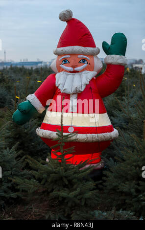 Leipzig, Deutschland. 17 Dez, 2018. Ein Weihnachtsmann steht in einem grünen Weihnachtsbaum Plantage in der Nähe von Leipzig. Die aktuelle mildes Wetter lässt wenig Hoffnung für Schnee am Heiligabend. Kredite: Jan Woitas/dpa-Zentralbild/dpa/Alamy leben Nachrichten Stockfoto