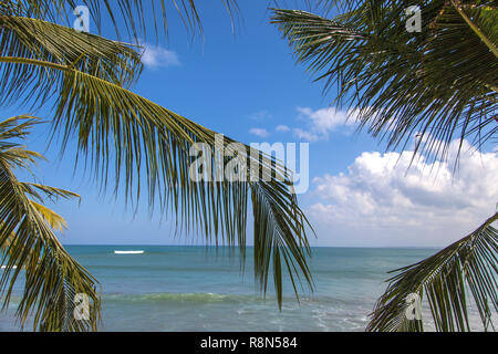 Indonesien Bali, Kuta Strand Palmen auf das Meer. Stockfoto