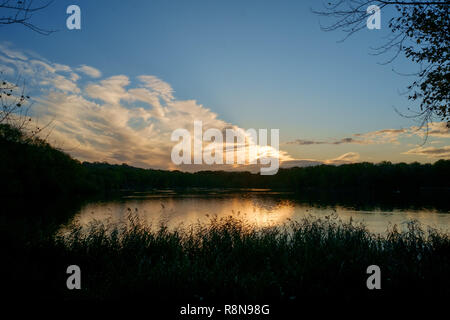 Wasser Reflexion in Coate Water Country Park, Swindon. Stockfoto