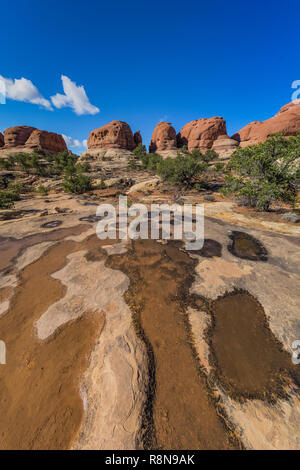 Ephemere Teiche von neue Regen Pool in slickrock Depressionen, entlang der Chesler Park Loop Trail im Needles District des Canyonlands National Par Stockfoto