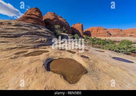 Ephemere Teiche von neue Regen Pool in slickrock Depressionen, entlang der Chesler Park Loop Trail im Needles District des Canyonlands National Par Stockfoto