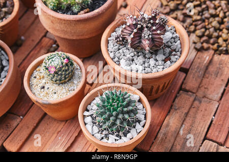 Der kleine Kakteen und Sukkulenten in Braun cray Töpfen auf Ziegel braunen Hintergrund gemischt, Ansicht von oben Nahaufnahme. Stockfoto