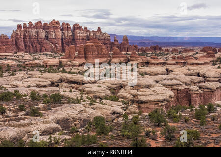 Dramatische Sandstein Landschaften der Slickrock und die Turmspitze entlang der Chesler Park Loop Trail im Needles District des Canyonlands National Park, Utah, Oct Stockfoto