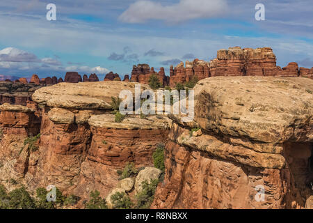 Dramatische Sandstein Landschaften der Slickrock und Türme entlang der Chesler Park Loop Trail im Needles District des Canyonlands National Park, Utah, Oc Stockfoto