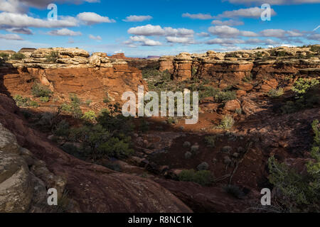 Dramatische Sandstein Landschaften der Slickrock und Türme entlang der Chesler Park Loop Trail im Needles District des Canyonlands National Park, Utah, Oc Stockfoto