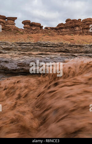 Indian Creek im Indian Creek Falls in einer flutartigen Überschwemmung nach starken Regenfällen auf der BLM landet in der Nähe von Canyonlands National Park, Utah, USA Stockfoto