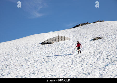 Wandern im Mount Aspiring National Park, Neuseeland Stockfoto