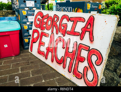 Frische Georgia Pfirsiche, im Fort Valley, Georgia bei Pearson Farm angebaut, sind für den Verkauf am Tucker Farmers Market in der Innenstadt von Tucker, Georgia gestapelt. Stockfoto