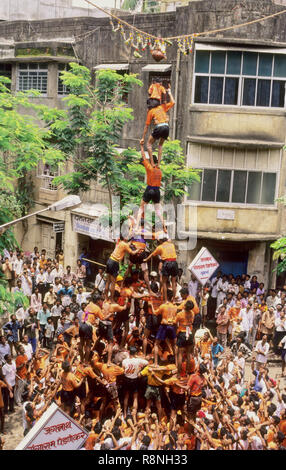 Dahi-Hundies, menschliche Pyramide, Janmashtami gokul ashtami Govinda Festival, Bombay, Mumbai, Maharashtra, Indien Stockfoto