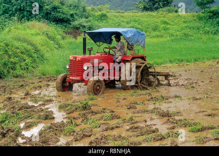 Traktor im Feld, Indien Stockfoto