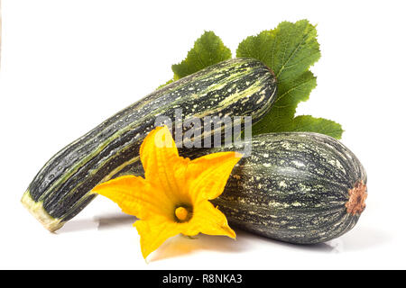 Zwei Zucchini mit Blatt und Blume auf weißem Hintergrund Stockfoto