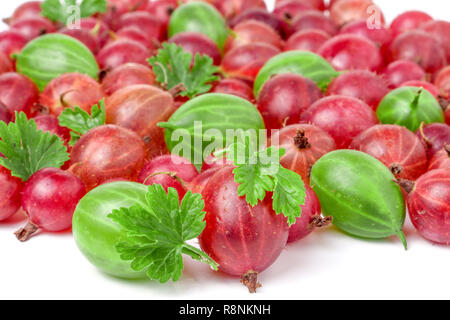 Rote und grüne Stachelbeeren mit Blättern auf weißem Hintergrund Stockfoto