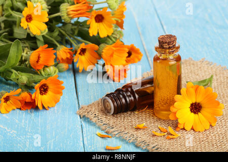Aromatherapie ätherisches Öl mit frischen Ringelblume Blumen auf blau Holz- Hintergrund. Calendula Öl Stockfoto