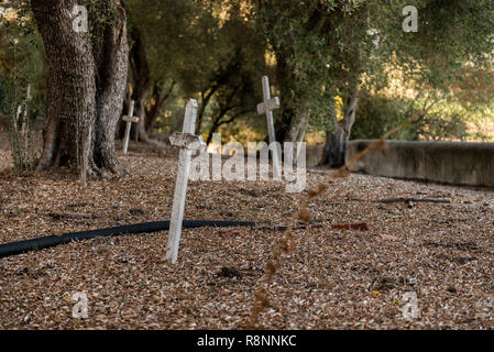 Kreuze an der San Juan Bautista Mission Friedhof, Kalifornien, USA. Stockfoto