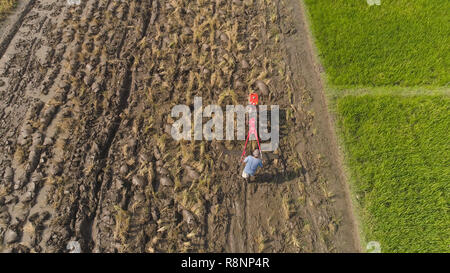 Landwirt in reis plantage Arbeiten mit Deichsel Traktor. Luftaufnahme paddy Bauer das Land pflanzen Reis bereitet. Ackerland mit landwirtschaftlichen Kulturen in ländlichen Gebieten Java Indonesien Stockfoto