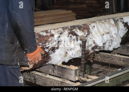 Schneiden Protokolle auf den Brettern. Im Winter wird ein Baum. Holzverarbeitung. Stockfoto