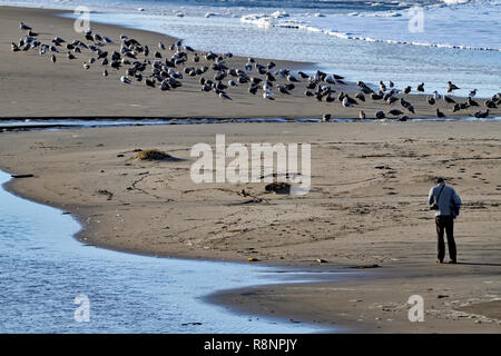 Menschen am Strand Stockfoto