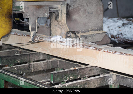 Schneiden Protokolle auf den Brettern. Im Winter wird ein Baum. Holzverarbeitung. Stockfoto