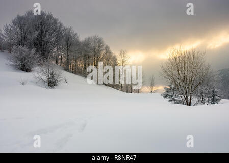 Wunderschöne winter Sonnenaufgang in den Bergen. Bäume im Raureif auf einem verschneiten Hügel. glühende bewölkten Himmel über den entfernten Ridge Stockfoto