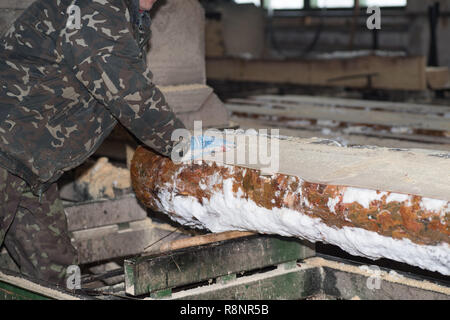 Schneiden Protokolle auf den Brettern. Im Winter wird ein Baum. Holzverarbeitung. Stockfoto