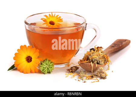 Calendula Tee mit frischen und getrockneten Blumen auf weißem Hintergrund Stockfoto