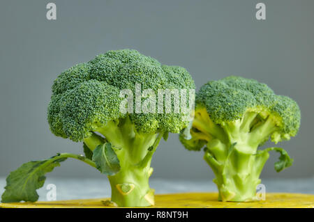 Zwei Köpfe von gesunden Salat. Frische grüne Brokkoli. horizontalen Blick auf grünes Gemüse Blume. gesunde Ernährung. Stockfoto