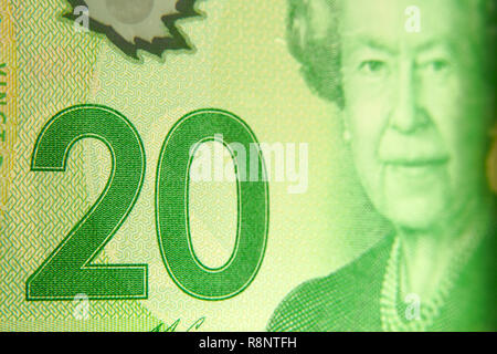 Nahaufnahme eines 20 kanadische Dollar Bill mit dem Portrait der Königin Elizabeth II. Stockfoto