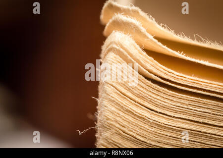 - Nahaufnahme Makro alten Vintage getragen meliert Rand fotografiert Seiten eines offenen Buches Stockfoto