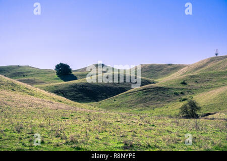 Sanften grünen Hügeln und blauer Himmel in Sunol regionale Wildnis, Osten San Francisco Bay Area, Kalifornien Stockfoto