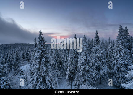 Blick vom Aussichtsturm in Syöte Ahmakallio Nationalpark, Pudasjärvi, Lappland, Finnland, Europa Stockfoto