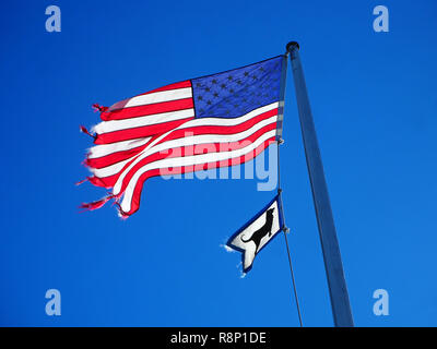 Zerrissene US-Flagge weht im Wind. Stockfoto