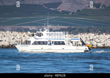 Insel VERPACKER KREUZFAHRTEN Schiff den Hafen verlassen, Ventura, Kalifornien; USA Stockfoto