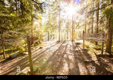 Wanderwege im Nationalpark Nuuksio, Espoo, Finnland Stockfoto