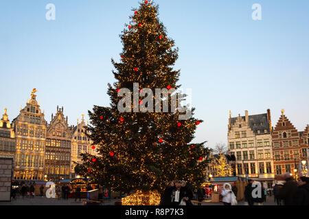 Weihnachtsbaum in Antwerpen Weihnachtsmarkt, Grote Markt, Antwerpen (Antwerpen), Provinz Antwerpen, der Region Flandern, Belgien Stockfoto