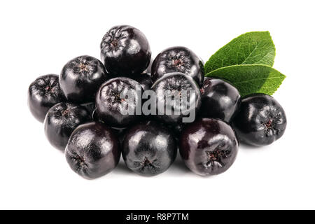 Aronia mit Blatt auf weißem Hintergrund. Schwarz Aronia Beeren Stockfoto